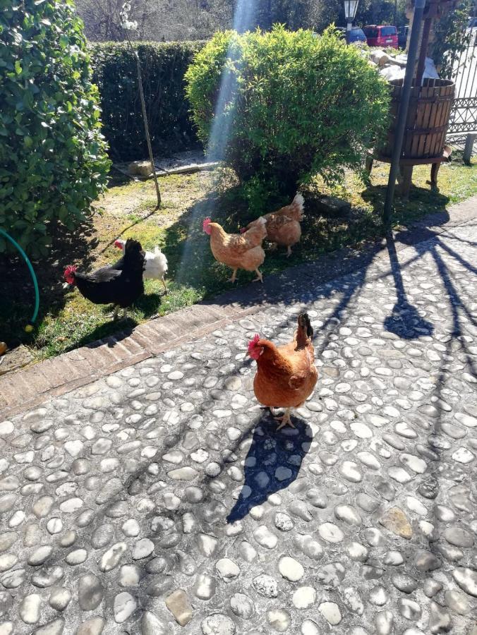 Isola del Gran Sasso dʼItalia Agriturismo San Giovanni Ad Insulam מראה חיצוני תמונה